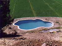 02_tradicionales.jpg (109,269 bytes)