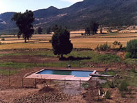12_tradicionales.jpg (93,092 bytes)